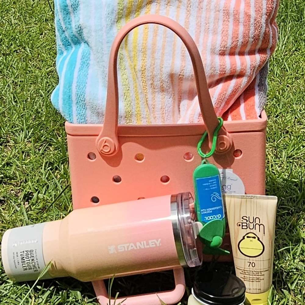 Day Trip Bitty BOGG BAG